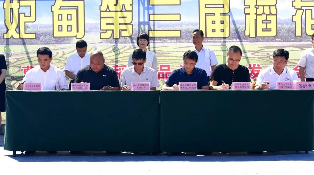 曹妃甸稻花节怎么样,曹妃甸稻花节现状