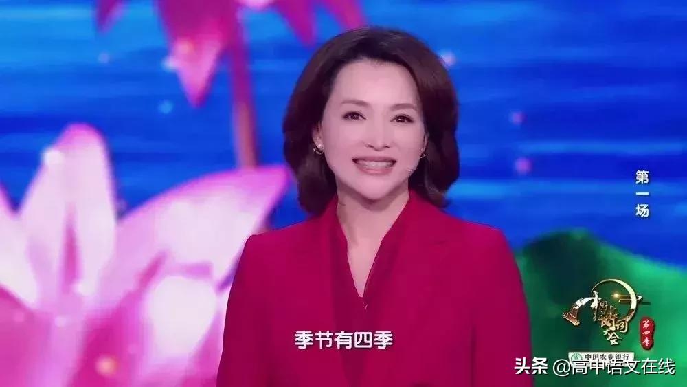 董卿诗词大会开场白集锦视频全集,董卿在中国诗词大会第四季开场白