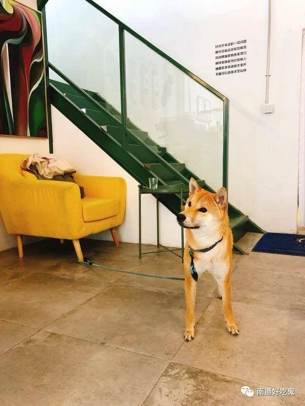 南通人过去一年最爱去的这36家餐厅,都在这儿了