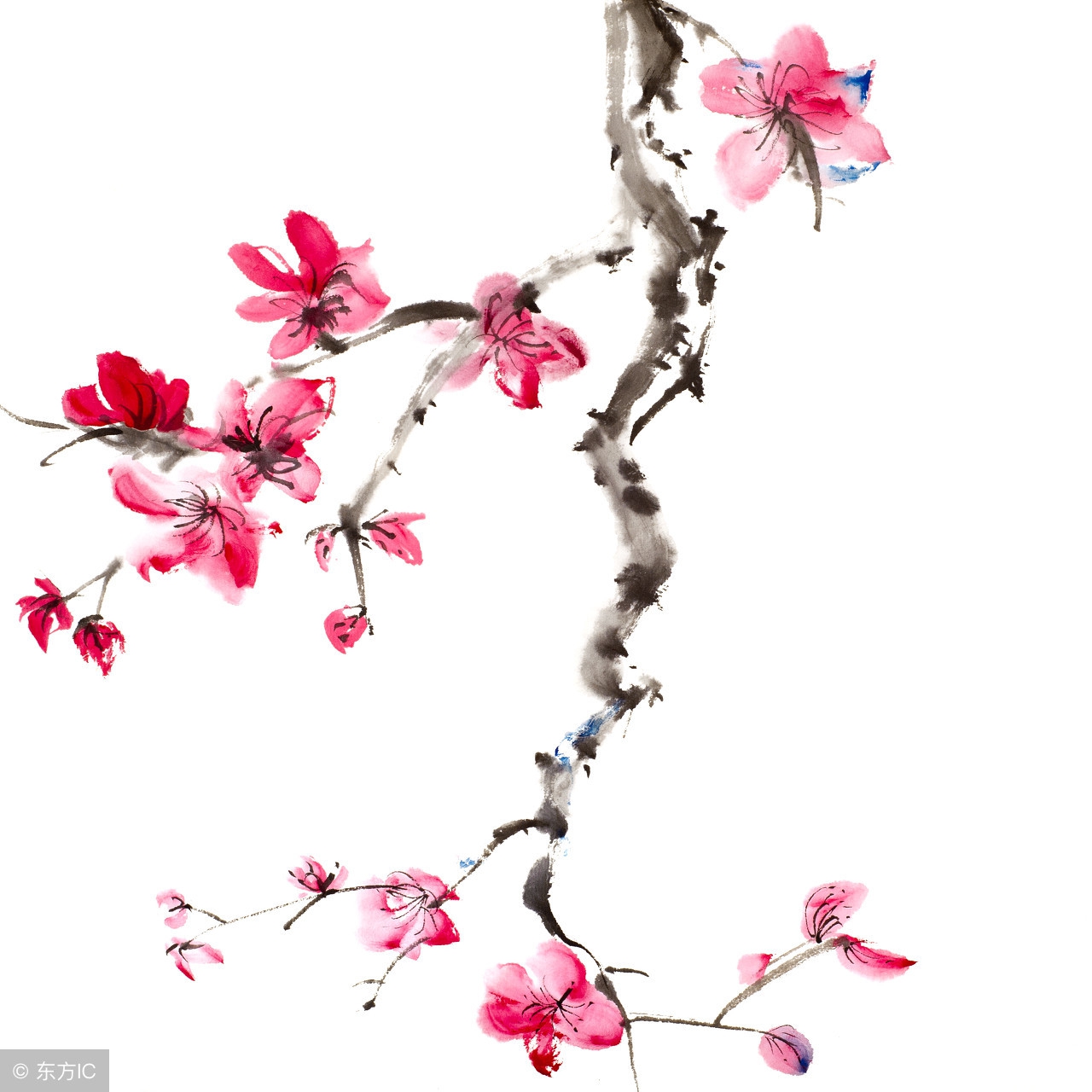 宋词300首精选短篇大全,宋词三百首精选大全