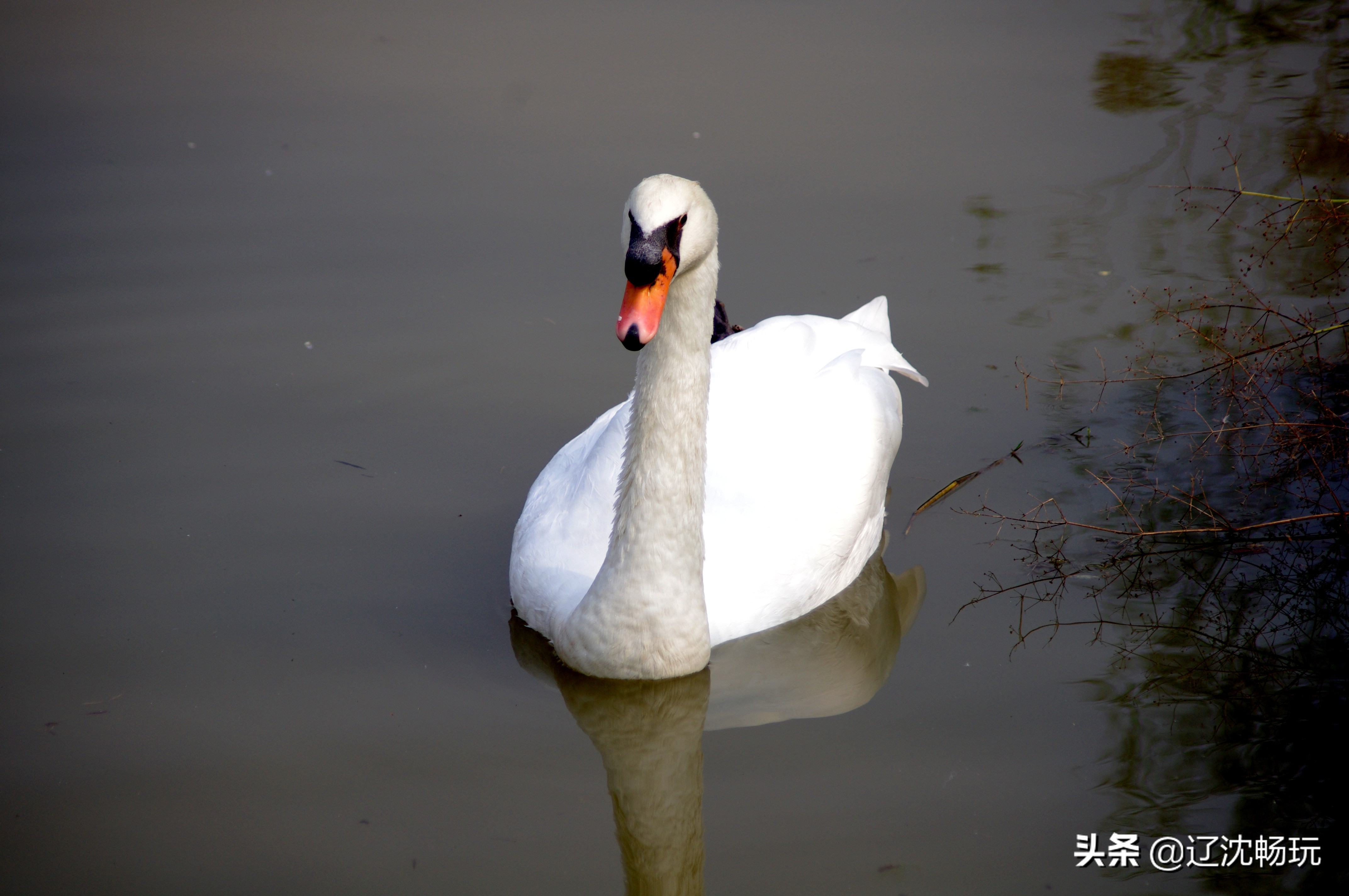 沈阳旅行推荐夏季景点攻略,沈阳冬日周边一日游旅游景点推荐