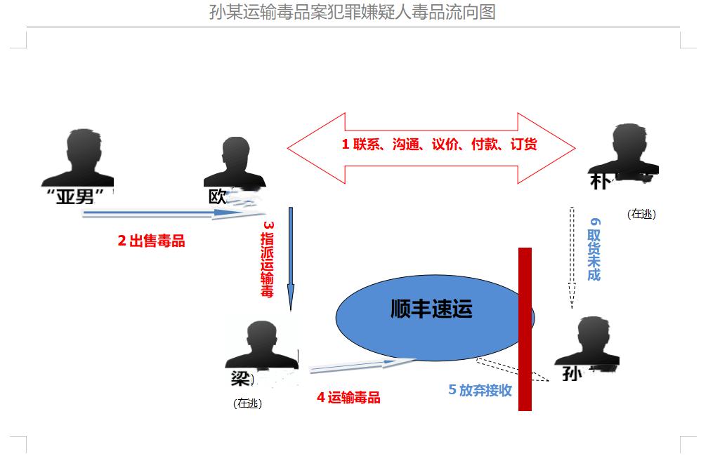 孙某贩毒案,运输毒品罪一审辩护词