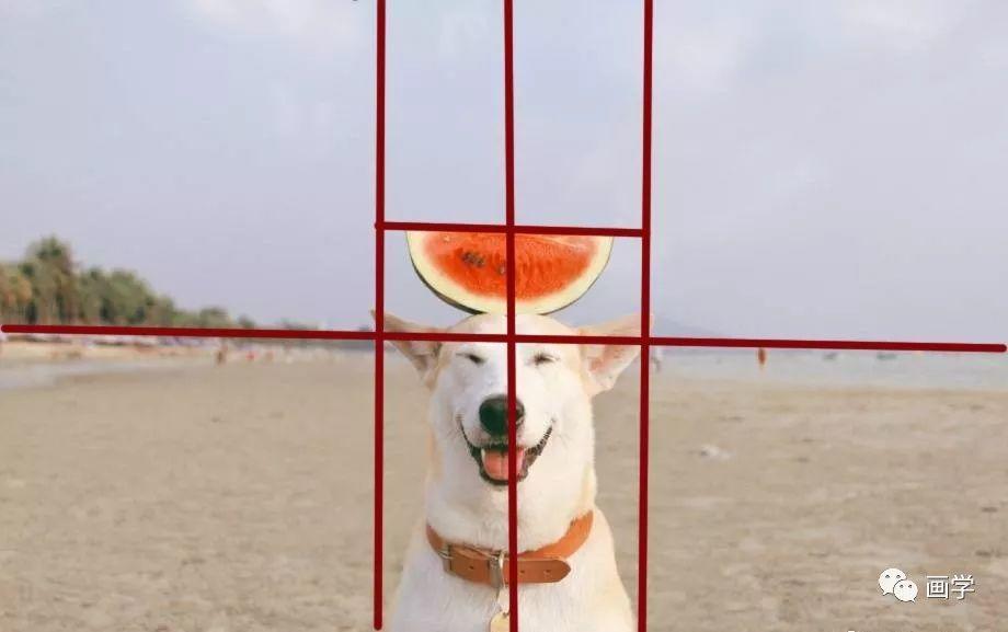 学会画画就要会正确的观察方法，让你事半功倍！