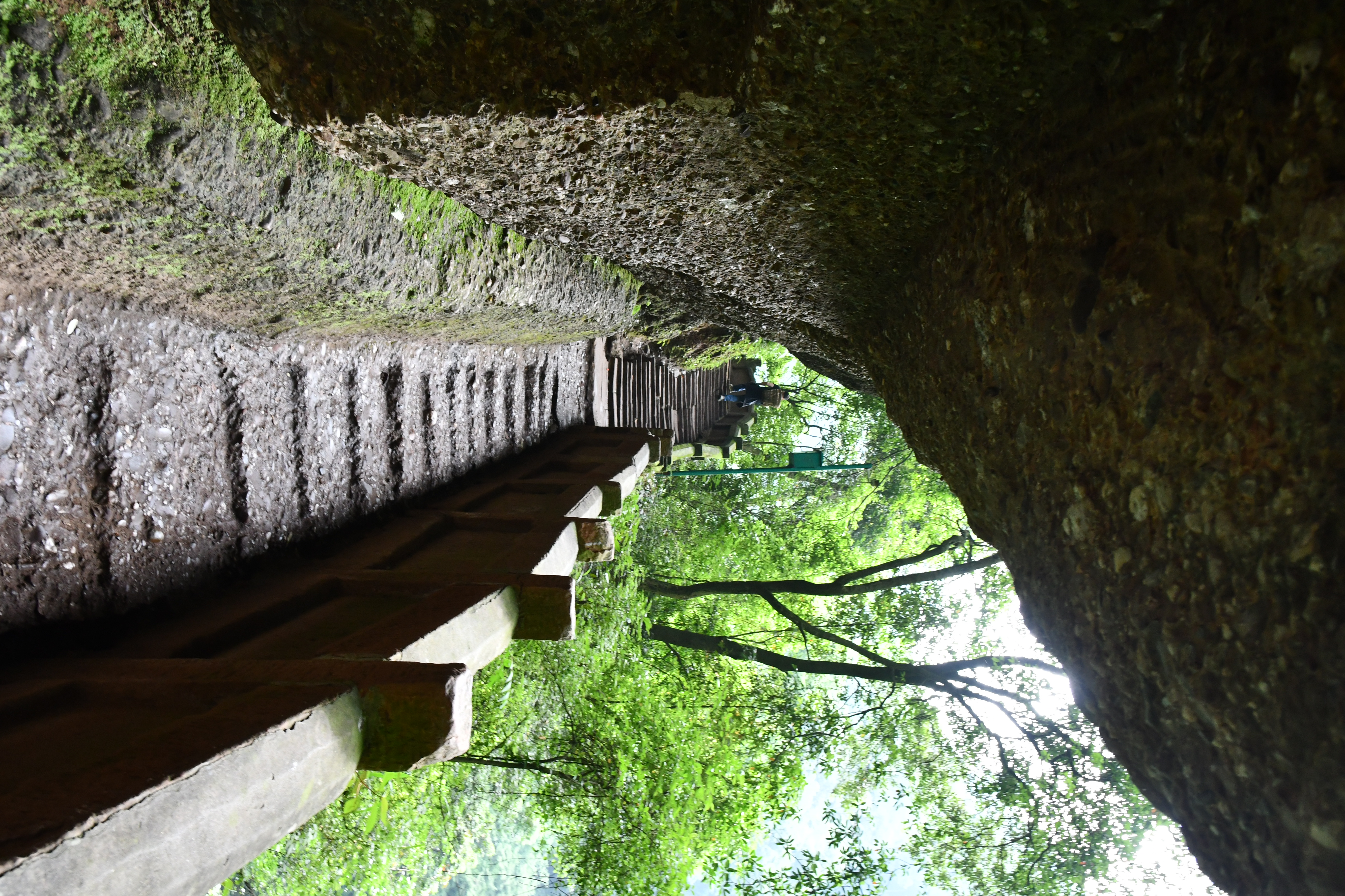 青城山一日游全攻略,乐山峨眉山青城山游攻略