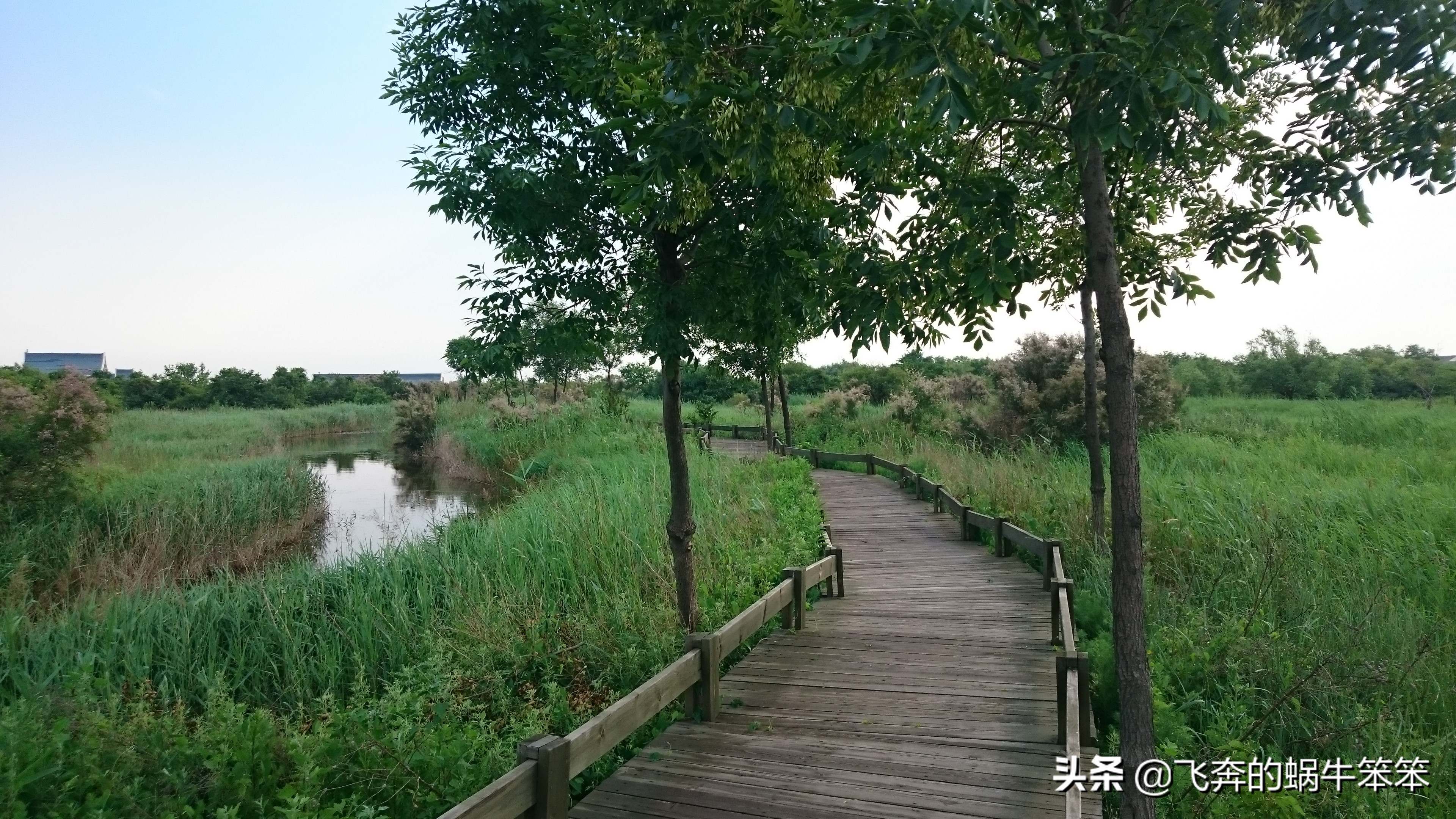 乐亭月岛赶海攻略,赶海看日出