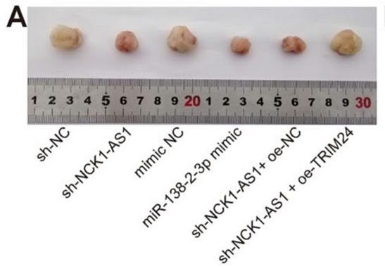 有关中医sci的论文选题,sci论文发表评价