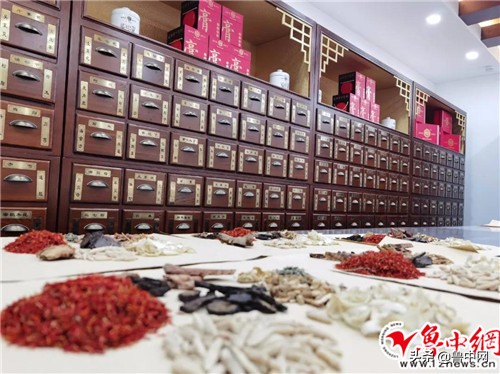 北京名中医讲课视频,淄博赵树堂名老中医