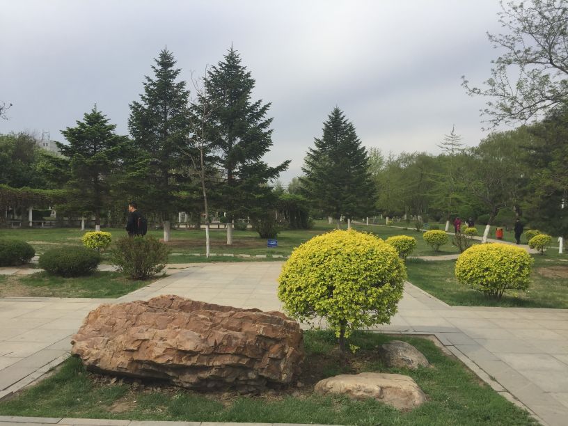 娌堥槼寮犲＋濂夎揪鍏洯,娌堥槼濂夎揪鍏洯