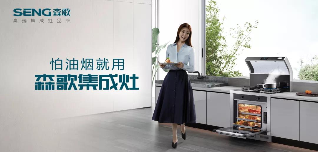 森歌电器股份有限公司,森歌电器