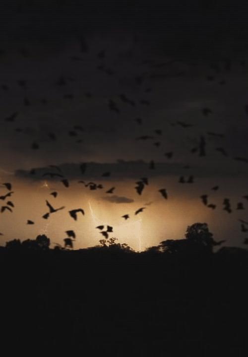 一本未写完的悬疑恐怖小说,又悬疑又惊悚的小说