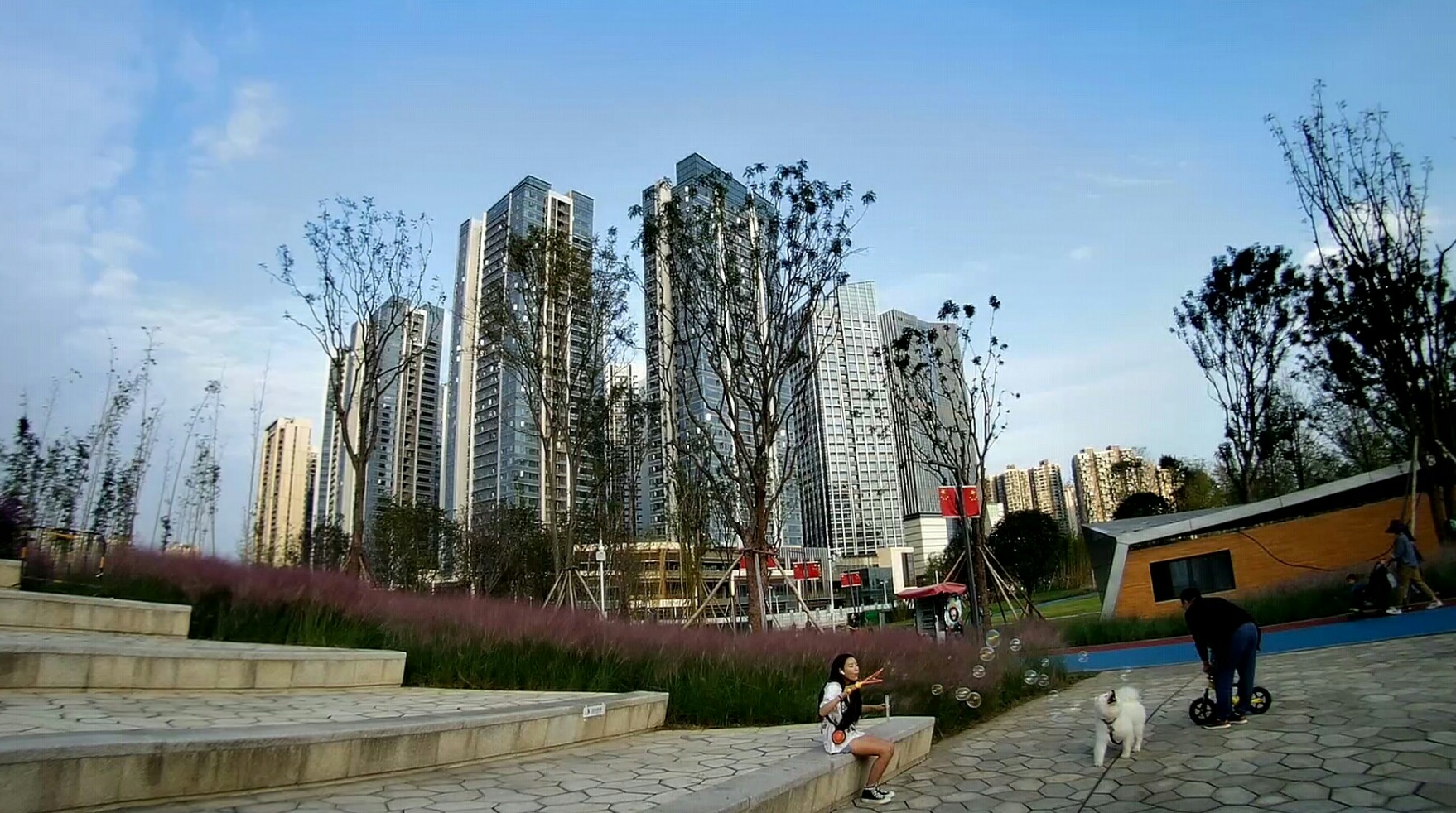 老茶店门店换新颜,茶店子新公园