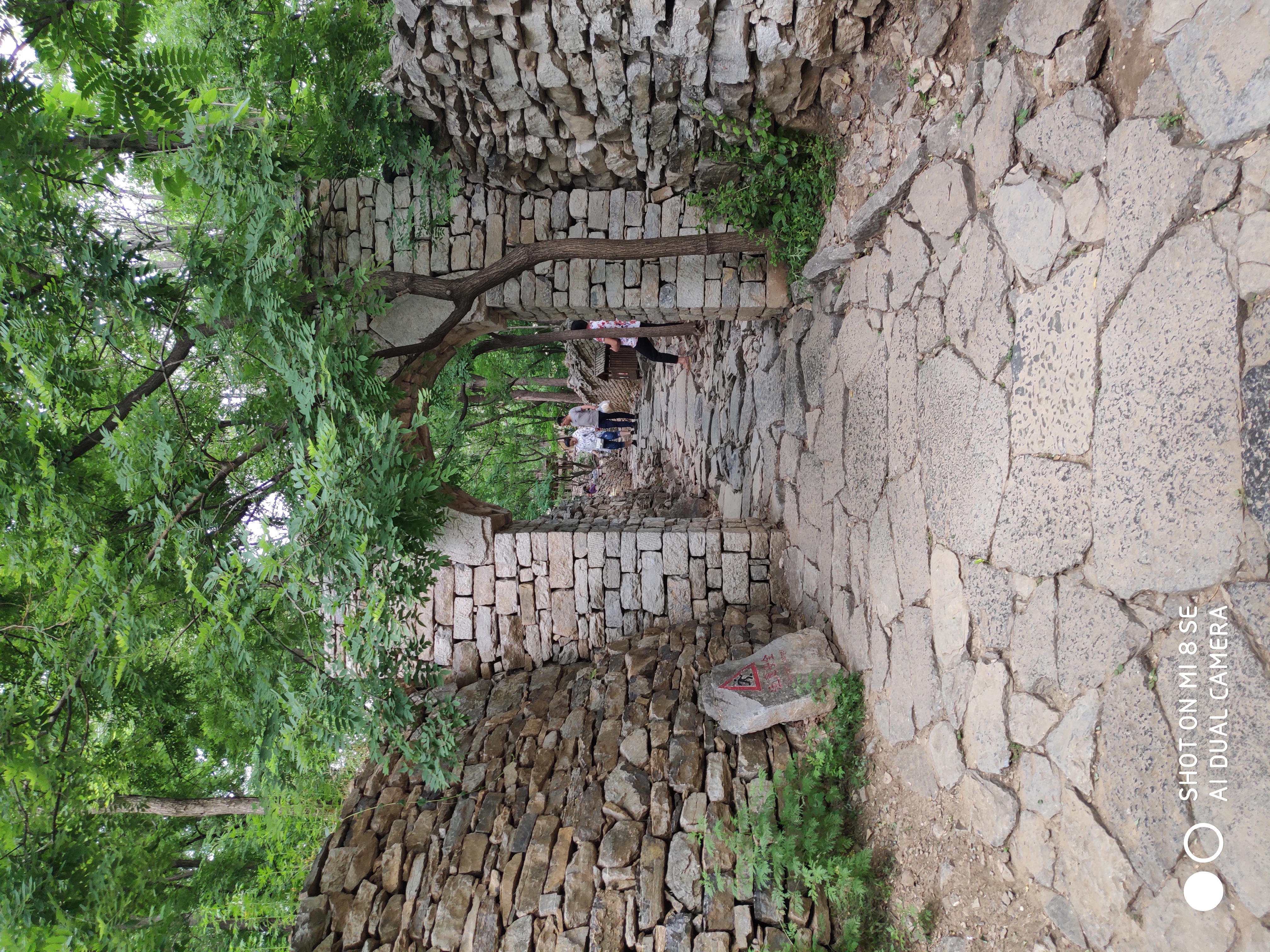 绾佃涔濆窞鍥涙捣,绾佃涔濆窞鍥涙捣婕函鍗冨勾鏄ョ