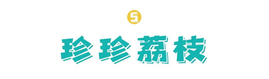20年前的饮品你喝过几种,20年前的奶茶饮料