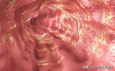 胃吃一点就胀怎么减肥,控制食欲胶囊减肥有用吗