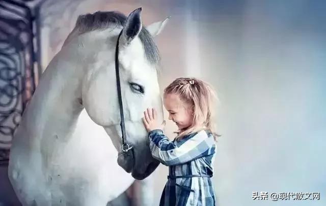 世上没有什么药能解生活的苦,世上无药可治的病