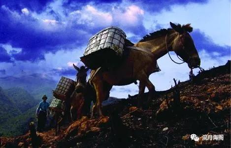 六大茶山是哪六个,六大茶山为什么茶那么好