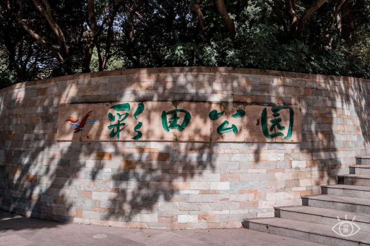 深圳十大顶级公园,深圳市十大风景公园排名