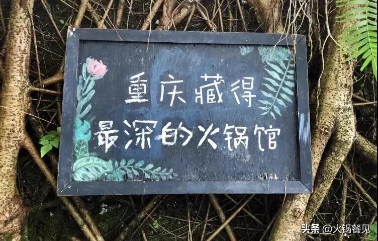 创业日记5年前,创业失败后日记