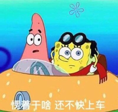 表情包海绵宝宝素材,表情包海绵宝宝系列