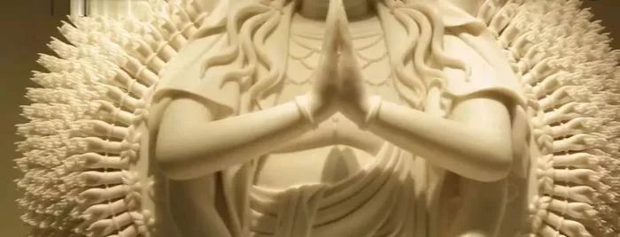 你见过印度的马桶吗,你见过马桶有黑色的吗