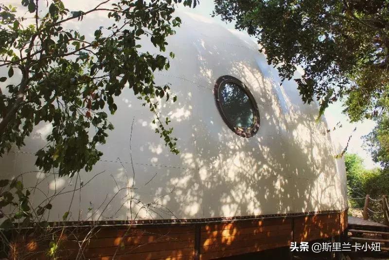 锡兰藏着3家罗莱夏朵：英式茶园野奢帐篷和悬崖海滨，随时去隐居