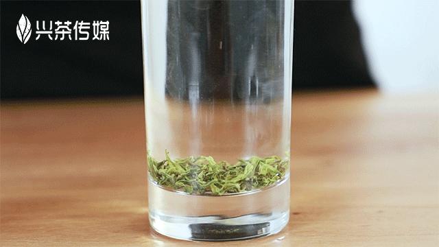 谷雨适合踏青还是喝茶,谷雨节气喝茶习俗美篇