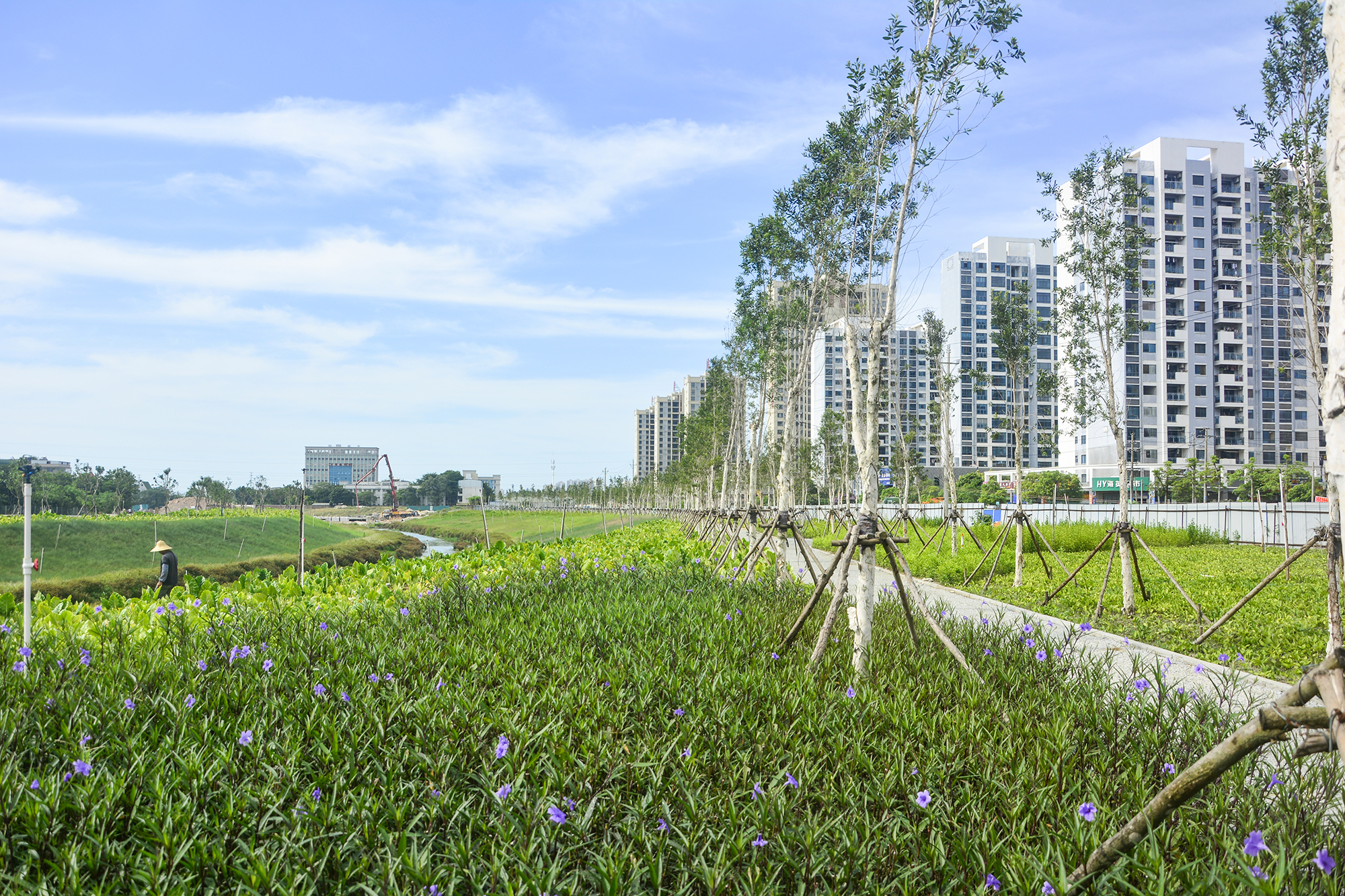 北海新的风景区,北海新建的公园