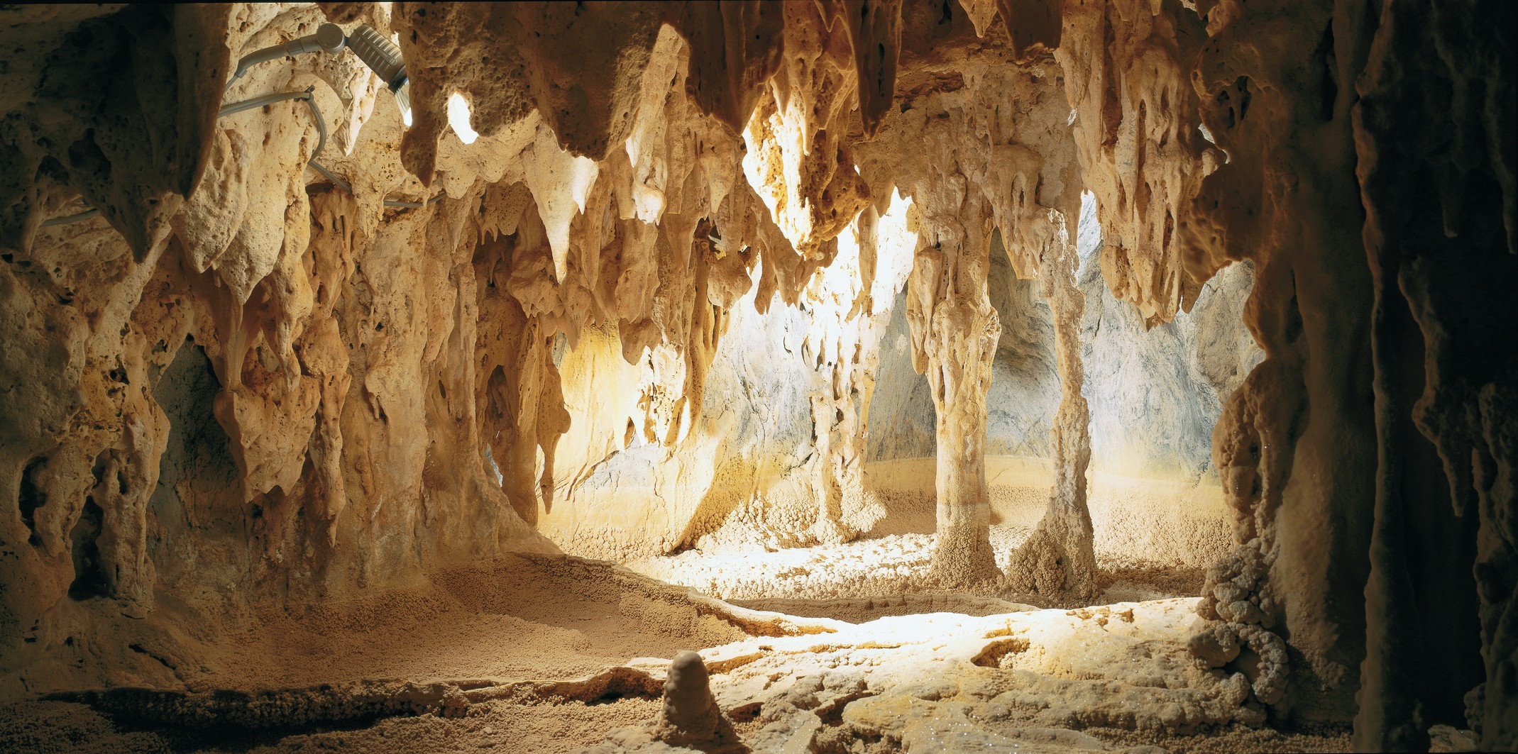 澳洲凯恩斯高原之旅,在凯恩斯生活