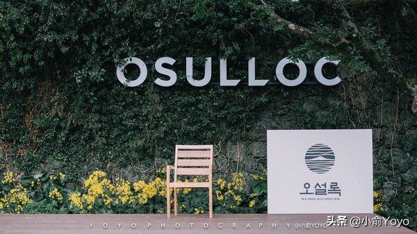 济州岛最值得去的地方,来济州岛第一天去哪玩