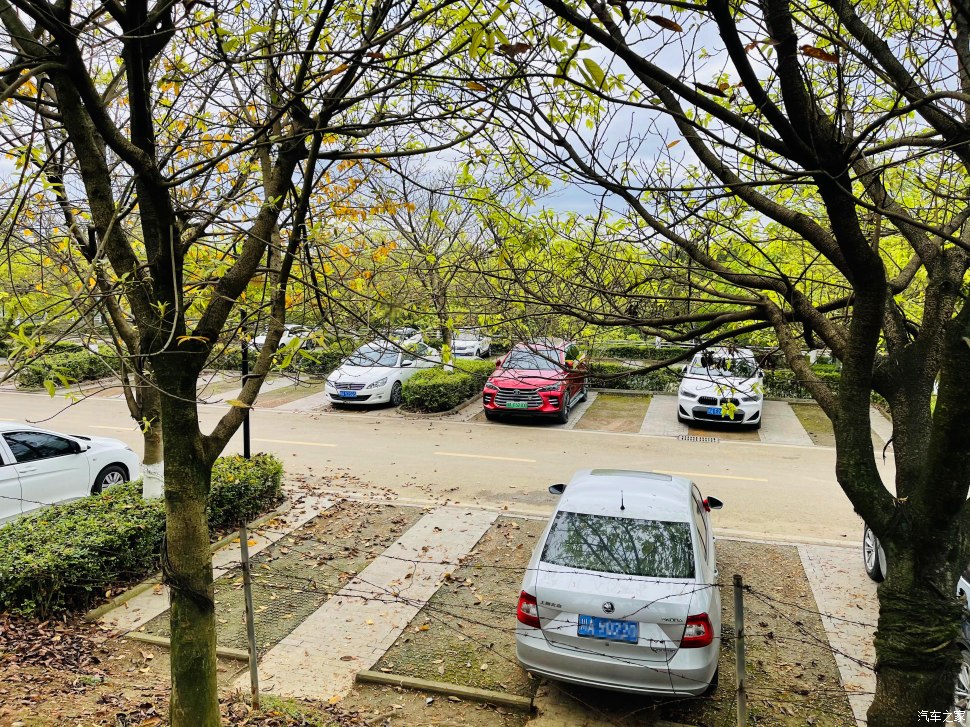 成都凤凰山公园可以爬山吗,成都凤凰山公园有什么好玩的