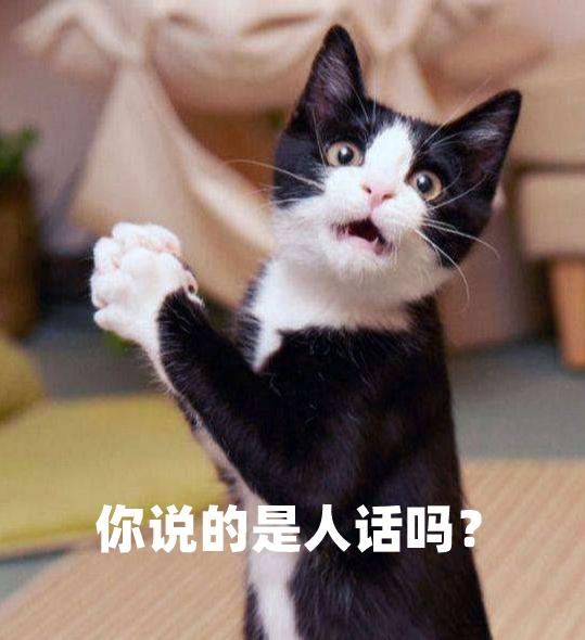 网上卖的乳胶床垫是真是假,乳胶床垫和席梦思床区别