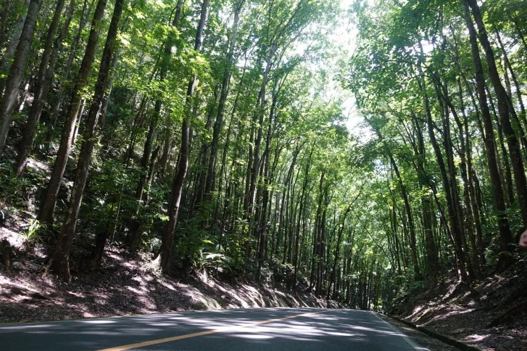 菲律宾10个必去地方,除了海边城市还能去哪里旅游