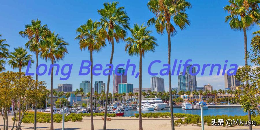 vincestaples鑸炶箞,vincestaples涓撹緫