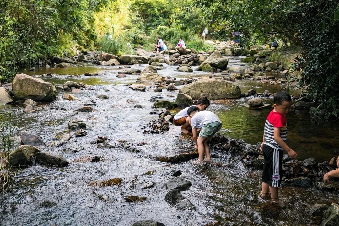 放假在深圳能去哪里玩,放假了可以去深圳的哪些地方玩