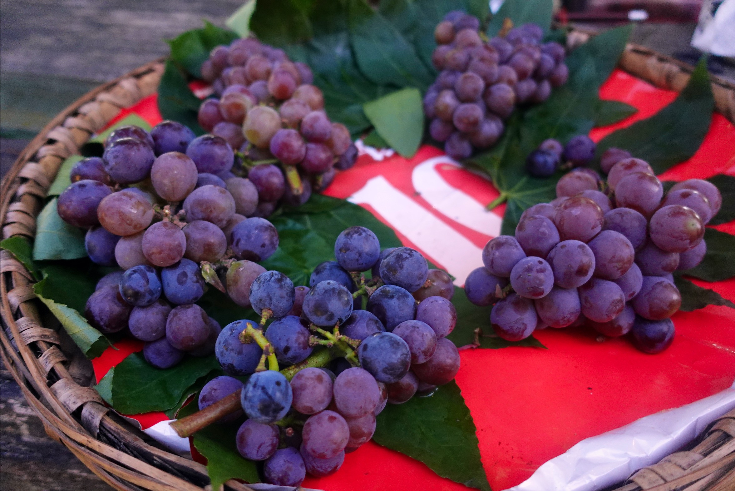 大山深处的清凉避暑好去处,重庆深山桃源在哪里