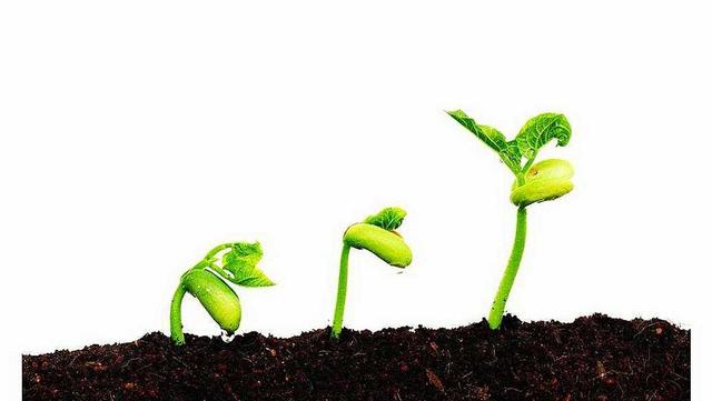 失落的百年致富圣经讲的是啥,失落的百年致富圣经哪本好