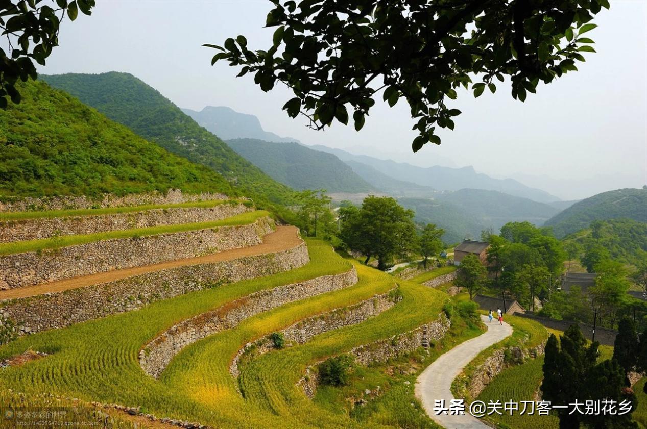 《美酒将军红与麻城孝感乡人郭孟四的传奇人生》