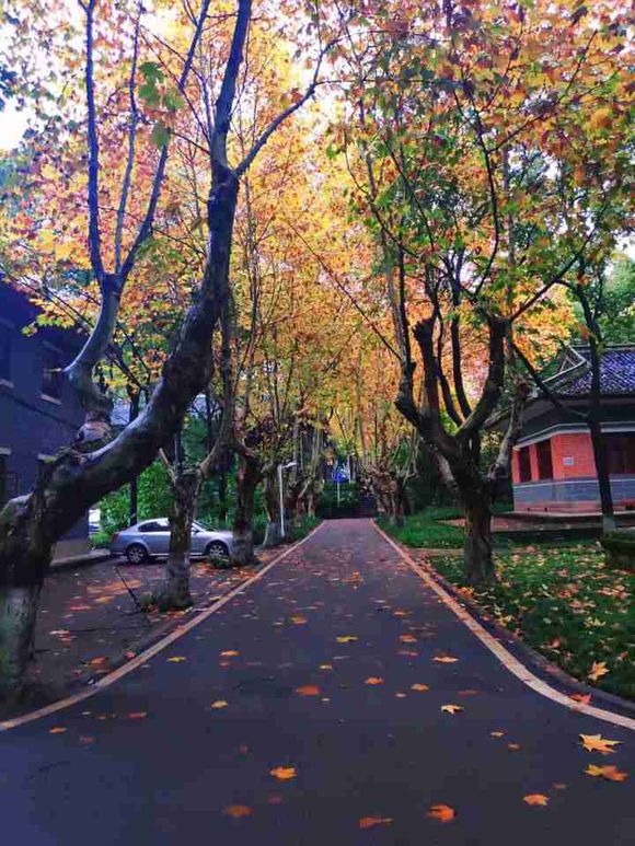 四川南充西华师范大学介绍视频,四川省南充市西华师范大学是几本