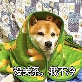 早上好真实会动的动态表情包,当代年轻人的真实现状表情包