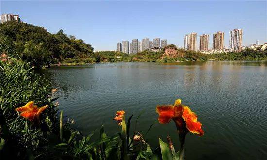 重庆九龙坡区,每天一顿火锅重庆