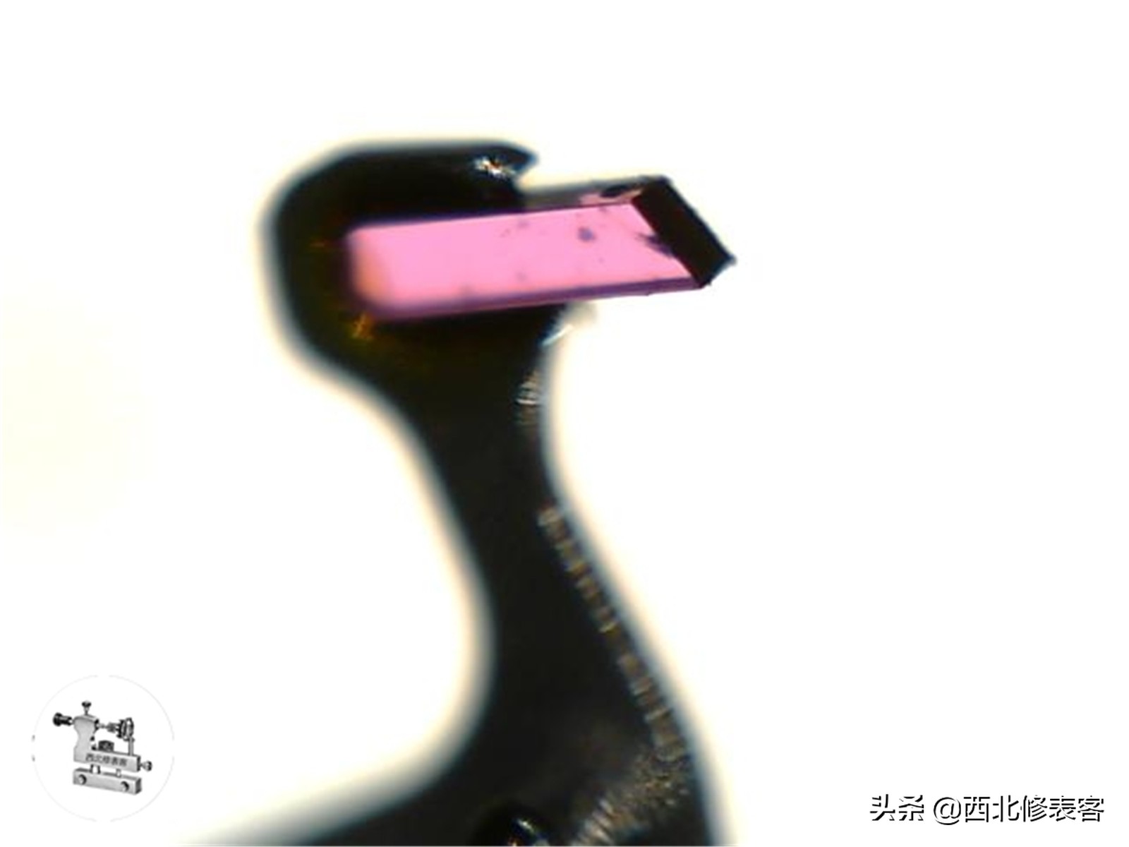 一只浪琴表可以戴多少年,浪琴月相7针计时码表