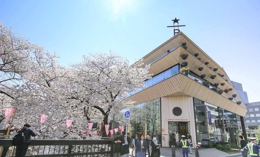 东京｜堪比艺术馆的星巴克臻选®烘培工坊樱花海中品满分咖啡