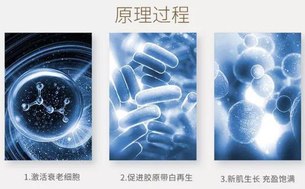 大长今宋慧乔金喜善,大长今金喜善宋慧乔