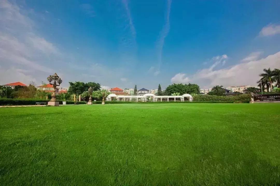 广州人的盛宴，整整20年传奇大盘继推新货！