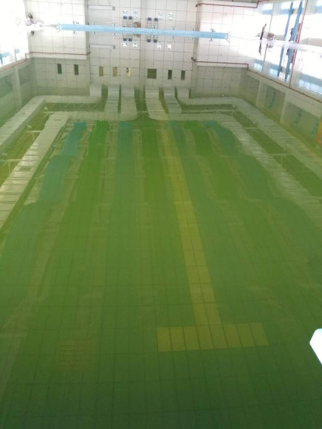 夏天游泳馆水质怎么解决,游泳池如何处理水质