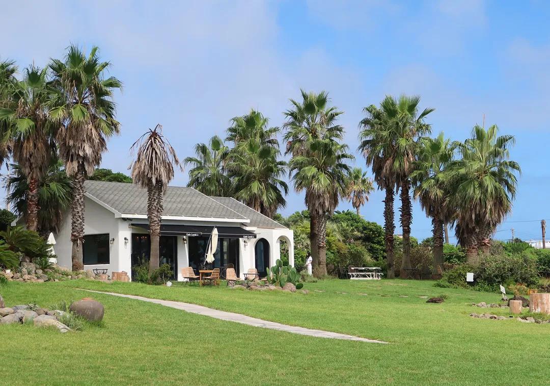 济州岛海边咖啡店推荐,济州岛躺着看海咖啡厅