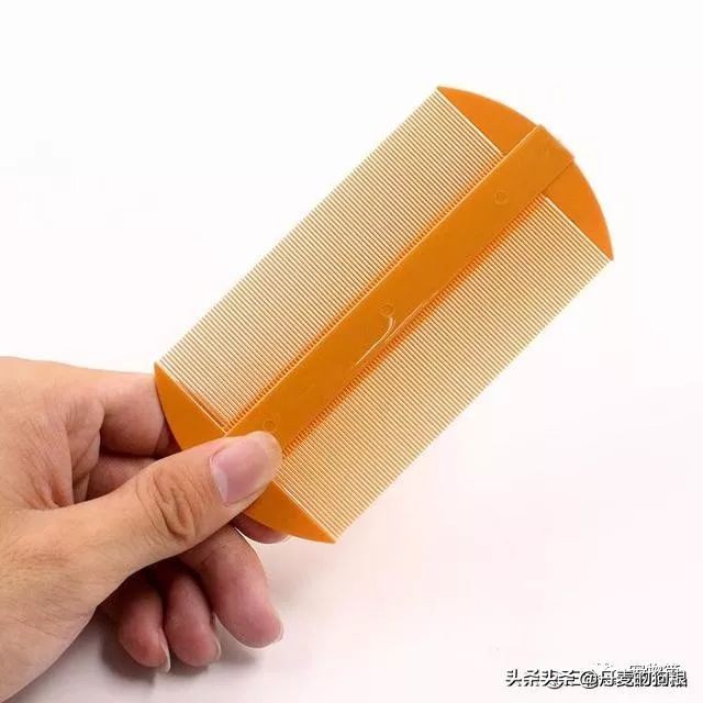 猫狗身上的跳蚤用什么能洗掉,家里猫狗有跳蚤怎么彻底消除