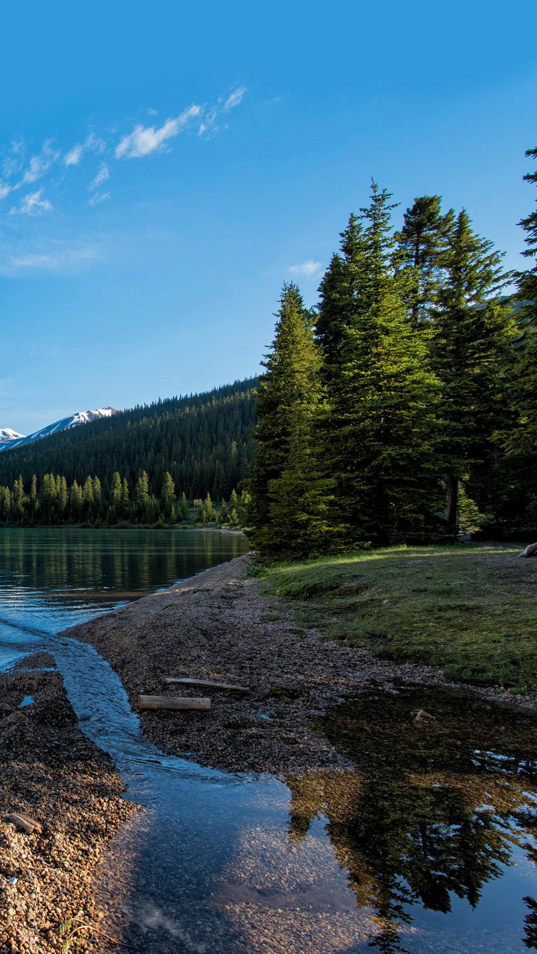 乐檬x3和天玑7哪个音质好,中兴天机7的hifi音质