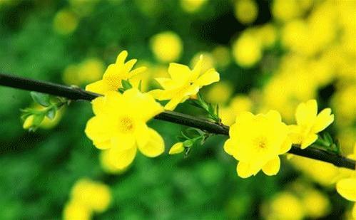 山西壶关太行山旅游攻略,壶关太行山大峡谷两日游最佳路线