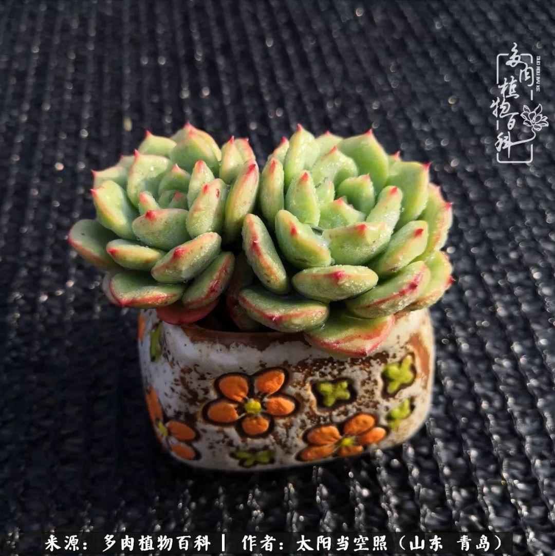 离家在外才发现最难忘的是故乡情,离家在外看见家乡的东西